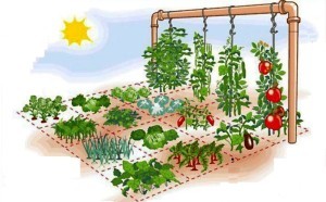 Horta em Casa 1 m²: Layout Vertical com 12 Cultivos Fáceis