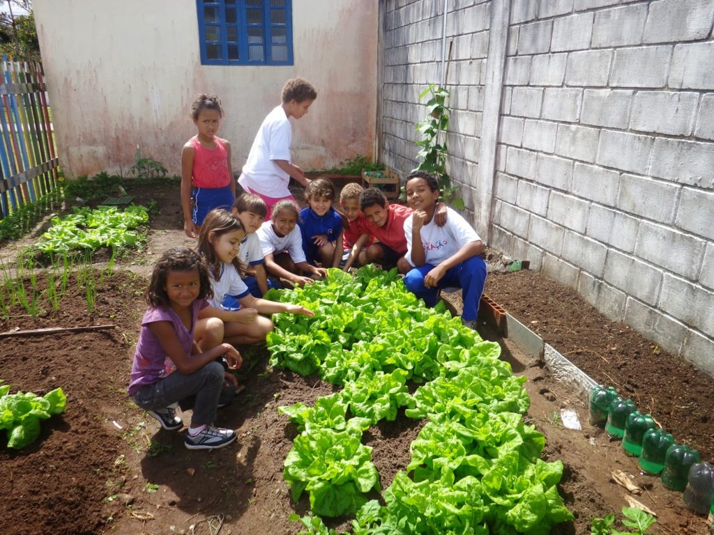 horta escolar