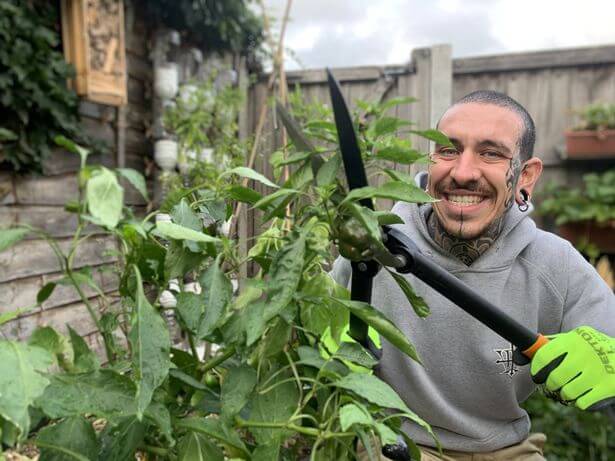 Horta em Casa de Alessandro Vitale: 30 Vegetais em 9 Meses 3 noticias, Agricultura Urbana