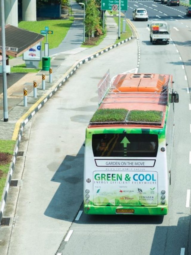 Ônibus Com Telhado Verde? Em Singapura São Realidade. Confira!