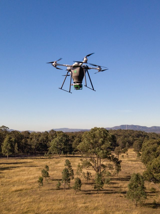 Drones Vão Plantar 500 Bilhões de Árvores No Reino Unido Até 2050