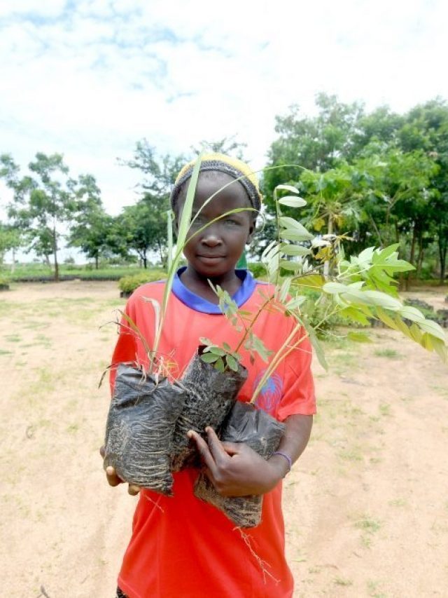 Refugiados Recuperam Terreno Com Plantio de Árvore em Camarões