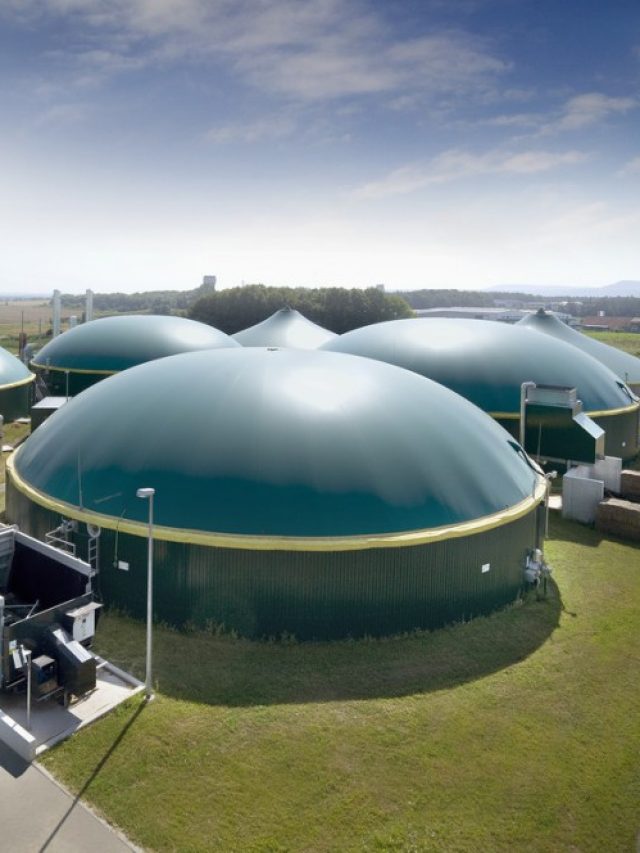 Biogás Local Vai Gerar Energia Para Abastecer Cidade Paranaense