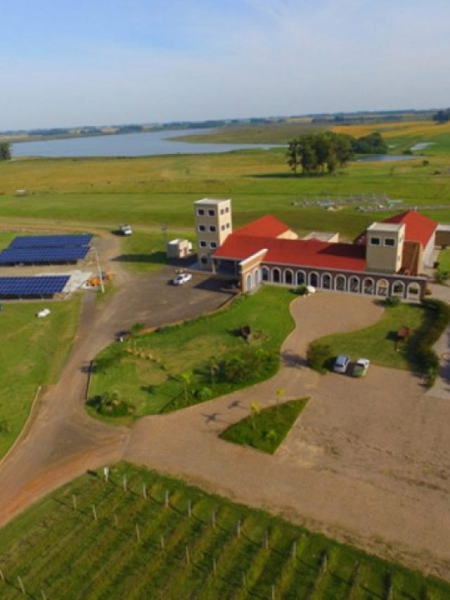 Energia Solar Abastece Produção de Vinícola no Sul do Brasil