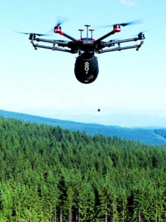 Drones Fazem Reflorestamento de 100 Mil Árvores por Dia