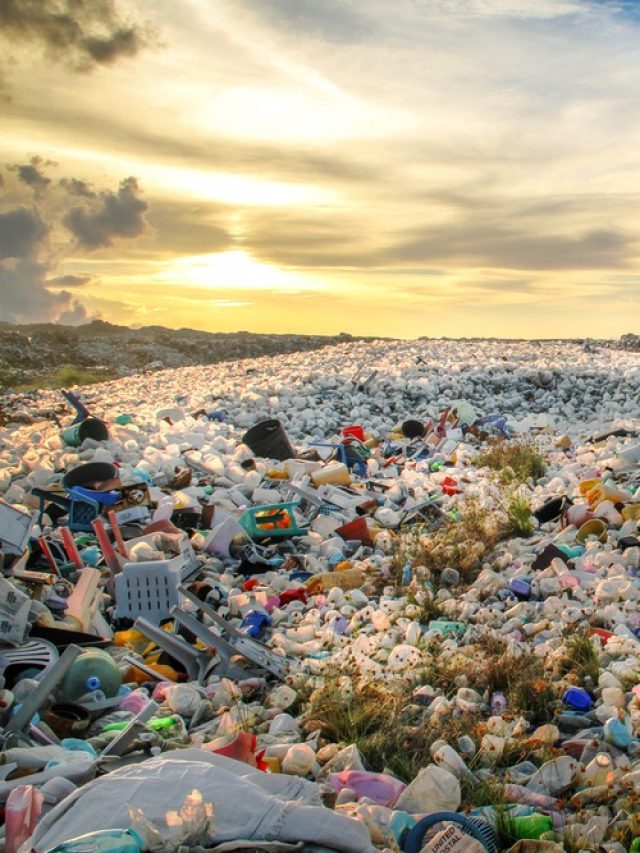 Cidade Mineira Vai Dar Fim a Aterros Sanitários e Reciclar 100% Dos Resíduos Sólidos