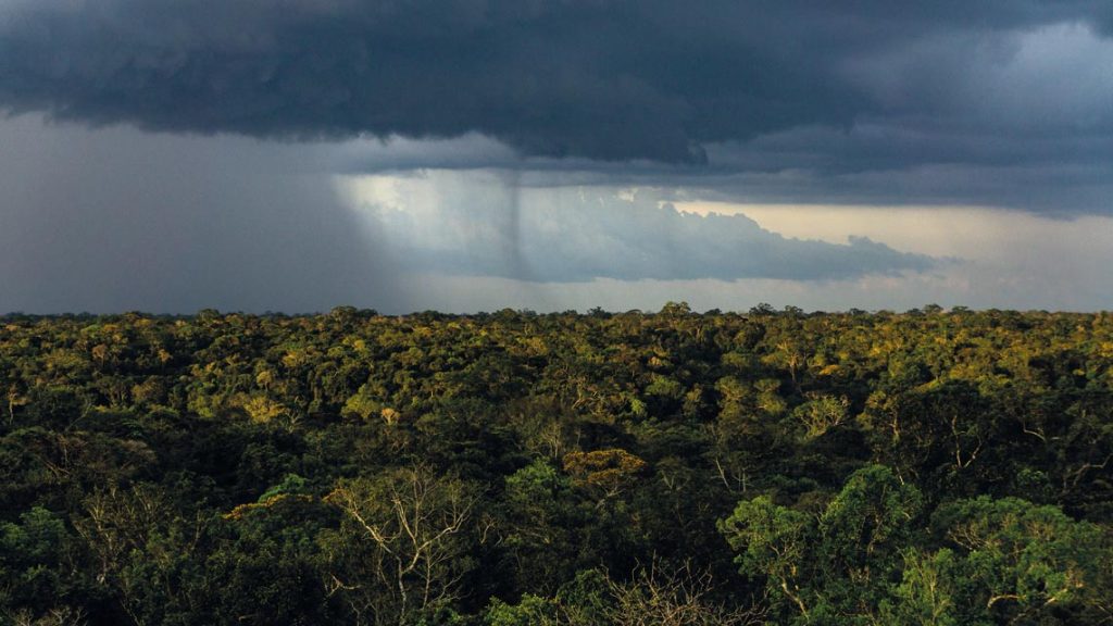 Devido às mudanças climáticas, o aumento de raios nessa região é preocupante, afinal, a floresta amazônica é atualmente o lugar com maior número de descargas elétricas do país devido a sua grande extensão.