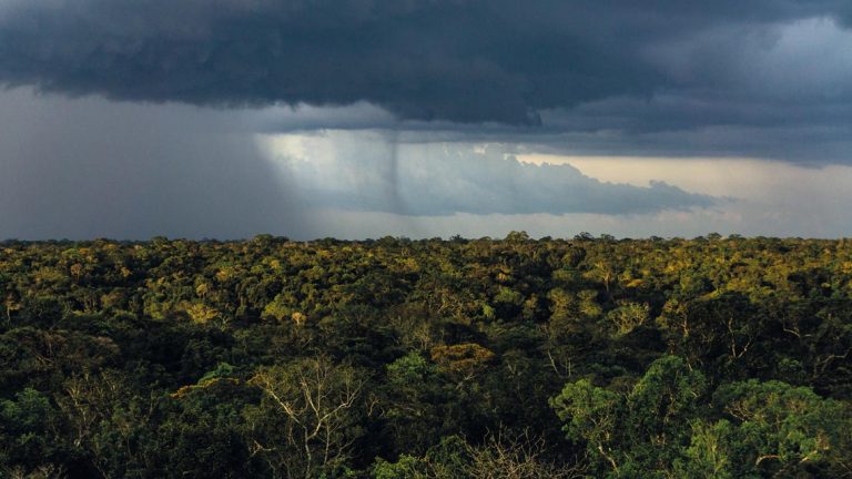 Mudanças Climáticas Fazem Do Brasil O País Mais Atingido Por Raios No Mundo