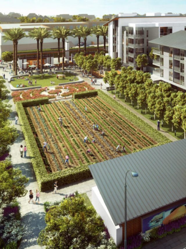 Complexo Residencial na Califórnia Terá Fazenda Urbana de 6 Mil m²