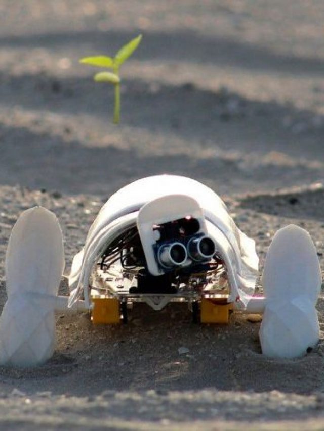 Mini Robô Percorre Deserto Plantando Sementes