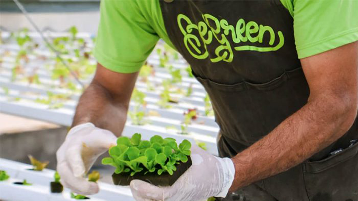 Fazenda Urbana BeGreen: 2,7 Toneladas/Mês em Goiânia Mall 4 Fazenda Urbana BeGreen: 2,7 Toneladas/Mês em Goiânia Mall