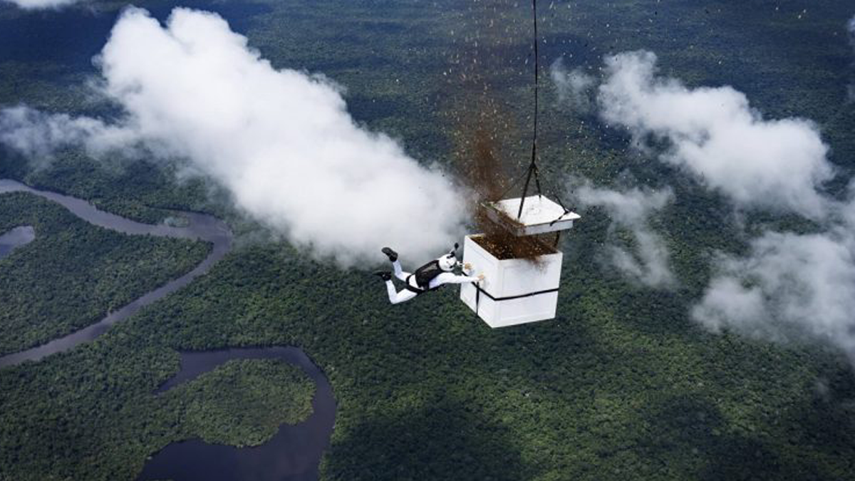 Meio Ambiente, noticias Floresta Amazônica