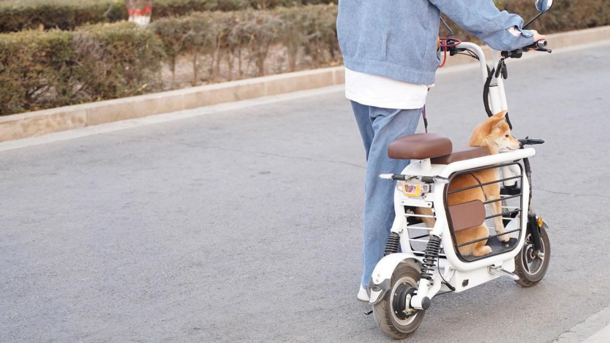 Scooter Elétrica para Levar Pet: Mobilidade Urbana no Brasil