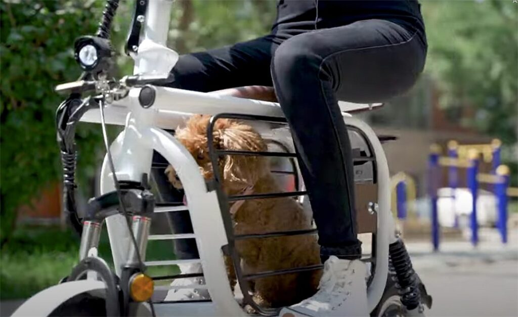Atualmente a scooter elétrica com espaço para pets está sendo vendida a um preço de cerca de US $ 1.150 (ou na conversão atual, R$ 5.551,29)