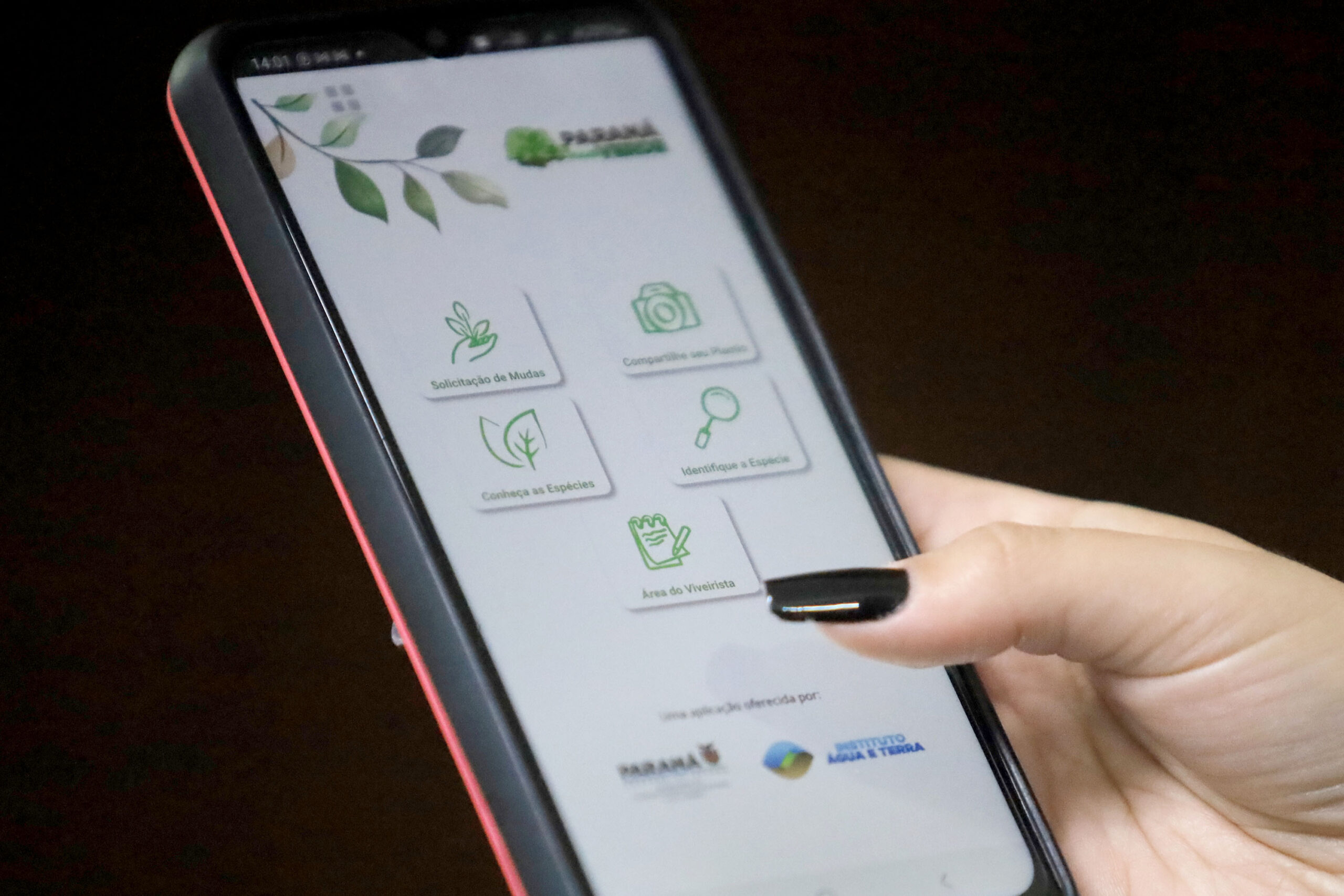 App Paraná Mais Verde: Peça Até 100 Mudas Nativas Grátis 5 App Paraná Mais Verde: Peça Até 100 Mudas Nativas Grátis
