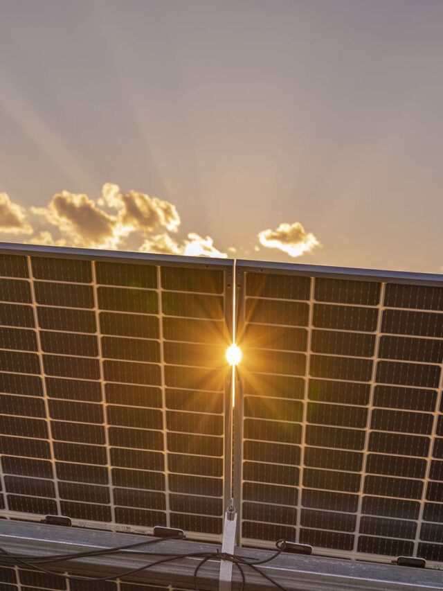 Sharp Lança Novo Painel Solar Bifacial com 540W De Potência