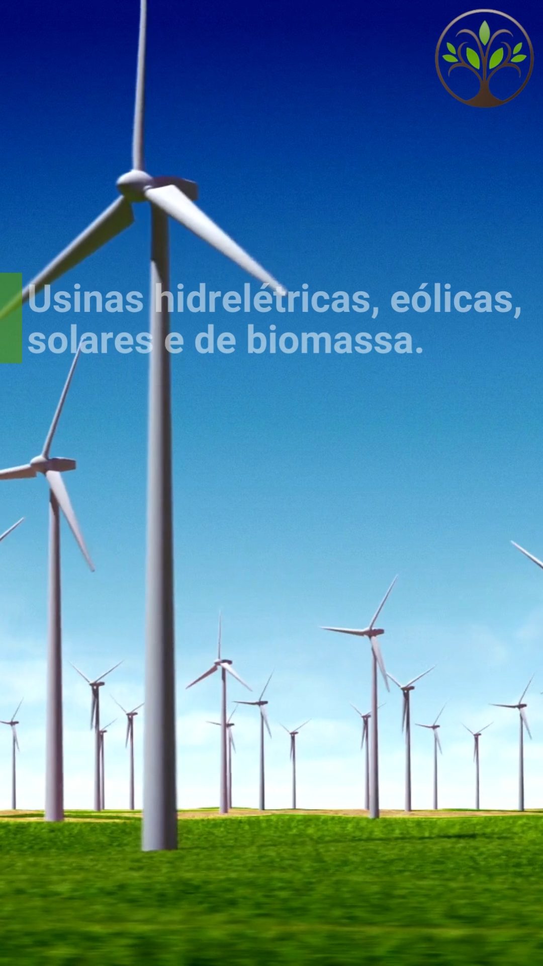 20231031 214533 - Energias Renováveis