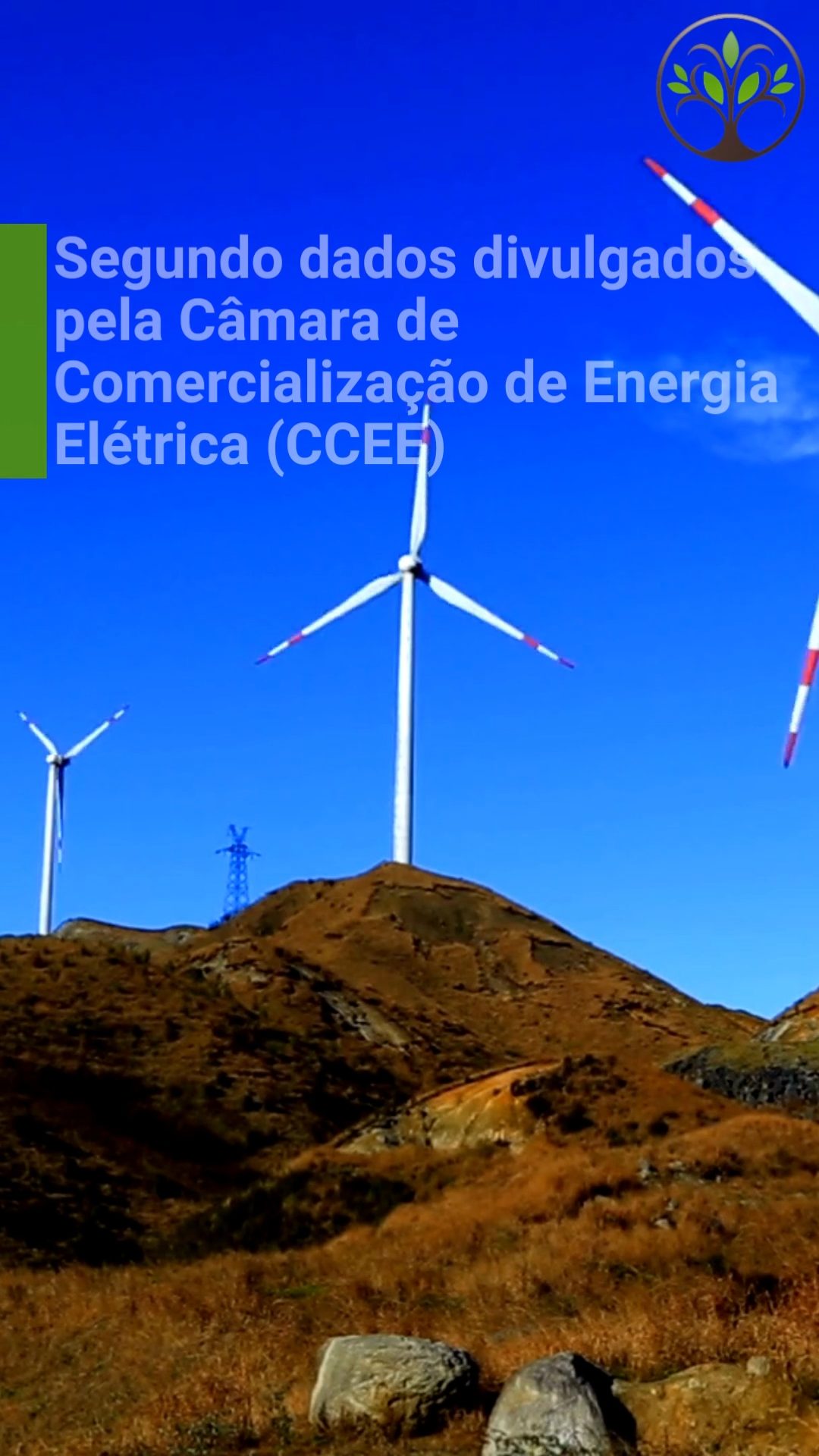 20231031 214533 - Energias Renováveis