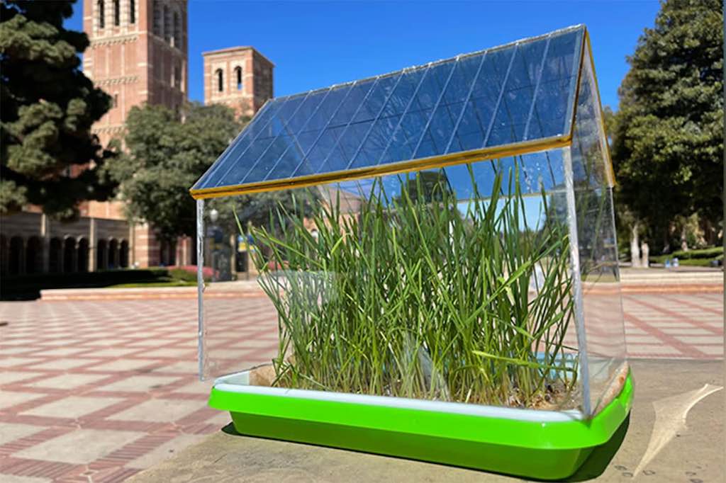 Estufa com Painéis Solares Transparentes Passam em Teste nos EUA
