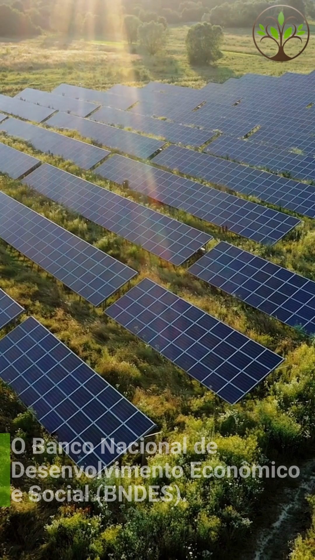 Grupo Energisa Vai Instalar 49 Usinas Solares Após Financiamento