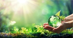 Sustentabilidade no Brasil: Tipos, Objetivos e Exemplos Práticos