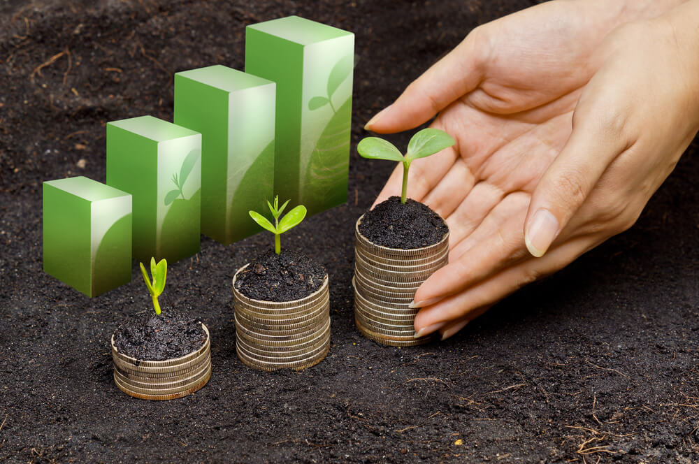 Sustentabilidade Econômica para Empresas: Economia Circular no BR