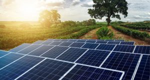 Portal EkkoGreen - Sustentabilidade, Energia Limpa e ESG no Brasil 12
