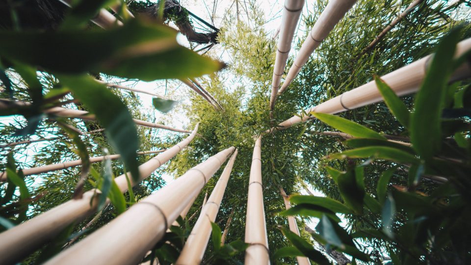 Portal EkkoGreen - Sustentabilidade, Energia Limpa e ESG no Brasil 26