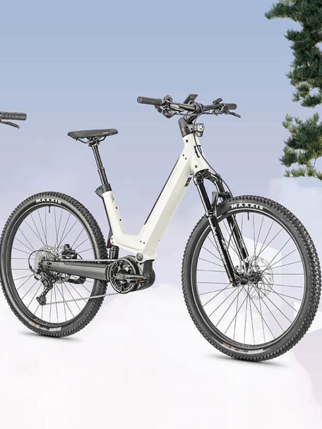 Desafiando os Padrões com a Multifacetada E-bike Moustache J