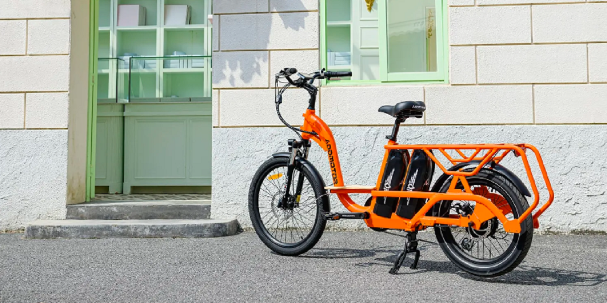 Bicicleta Elétrica de Carga: Leve 204 kg e Rode 338 km