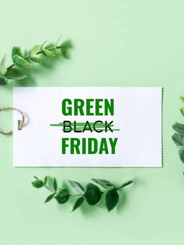 Green Friday: 4 Exemplos de Ações Sustentáveis