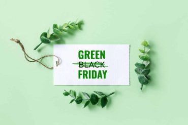 green friday cover
