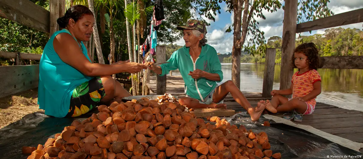 Meio Ambiente, noticias Amazônia