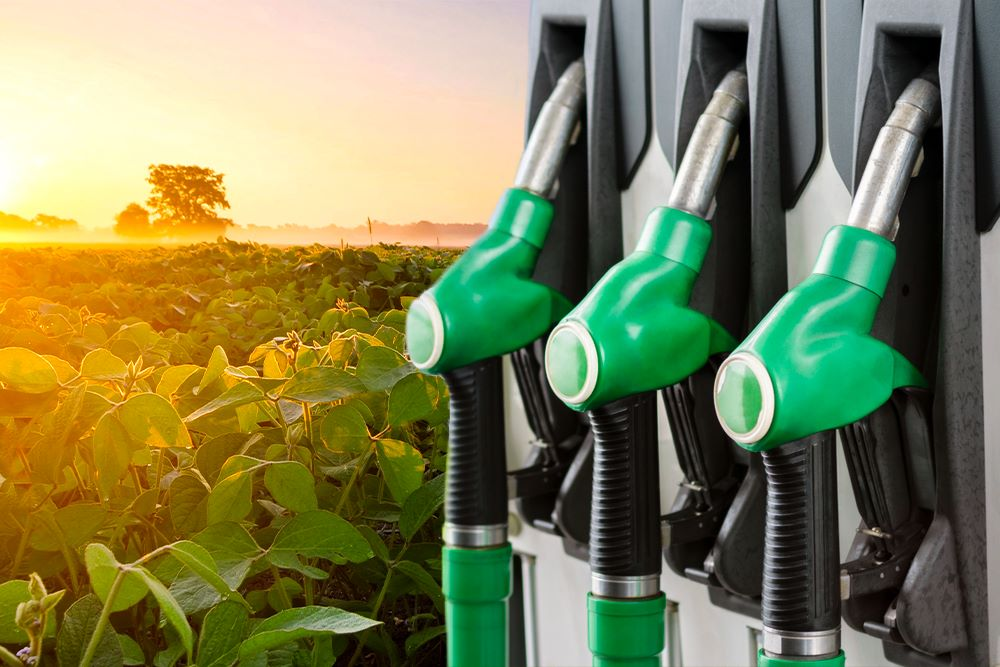 Empresa Árabe Pretende Investir US$ 13,5 Bilhões em Biocombustíveis no Brasil 2 noticias