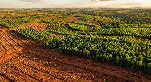 Portal EkkoGreen - Sustentabilidade, Energia Limpa e ESG no Brasil 4