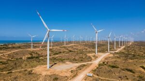 Energia Eólica no Nordeste do Brasil: Por que a Região Domina o Setor