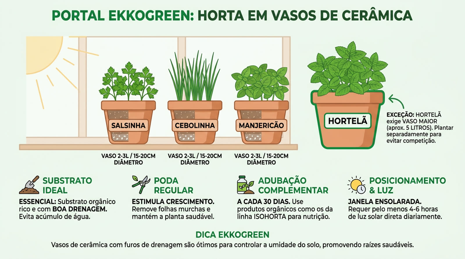 5 Plantas que Crescem na Cozinha e Entram na Receita — Sem Gastar no Supermercado 3 vasos de cerâmica com salsinha, cebolinha e manjericão posicionados em uma janela de cozinha ensolarada