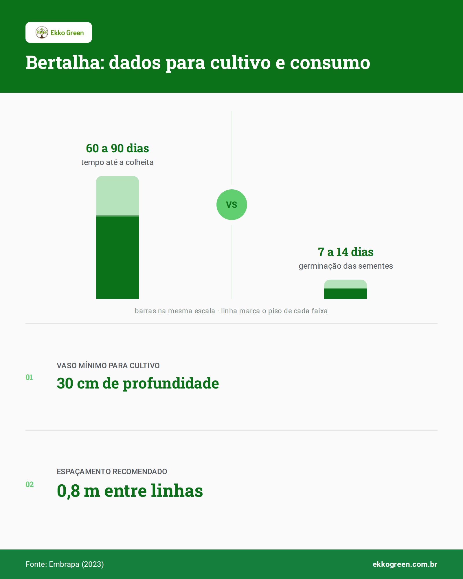 Bertalha: Como Identificar, Plantar e Consumir 2 Infográfico: Bertalha: dados para cultivo e consumo
