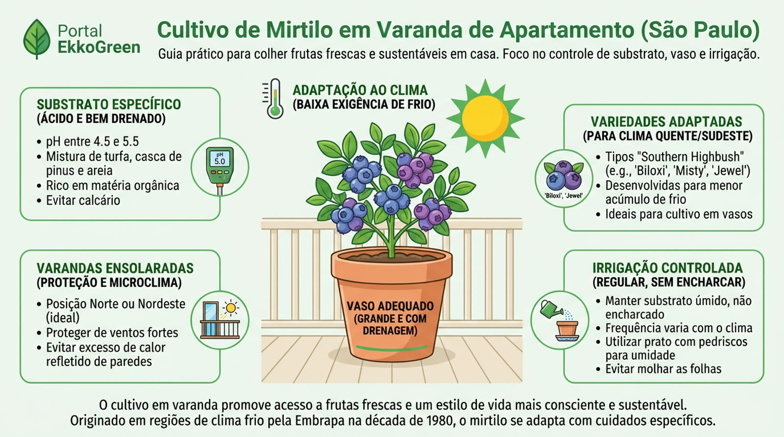 Mirtilo para Consumo e Cultivo: Guia Horta em Casa Brasil 2 vaso de mirtilo com frutos maduros em uma varanda ensolarada de apartamento em São Paulo