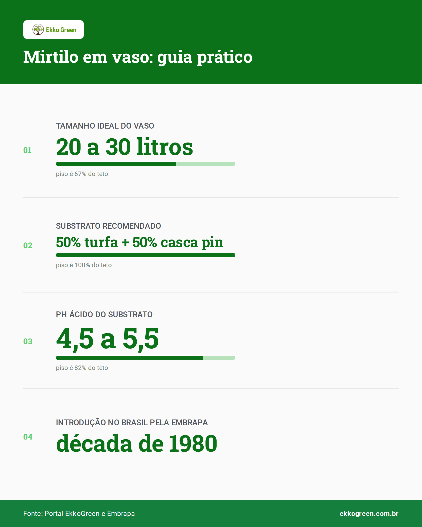 Mirtilo para Consumo e Cultivo: Guia Horta em Casa Brasil 3 Infográfico: Mirtilo em vaso: guia prático
