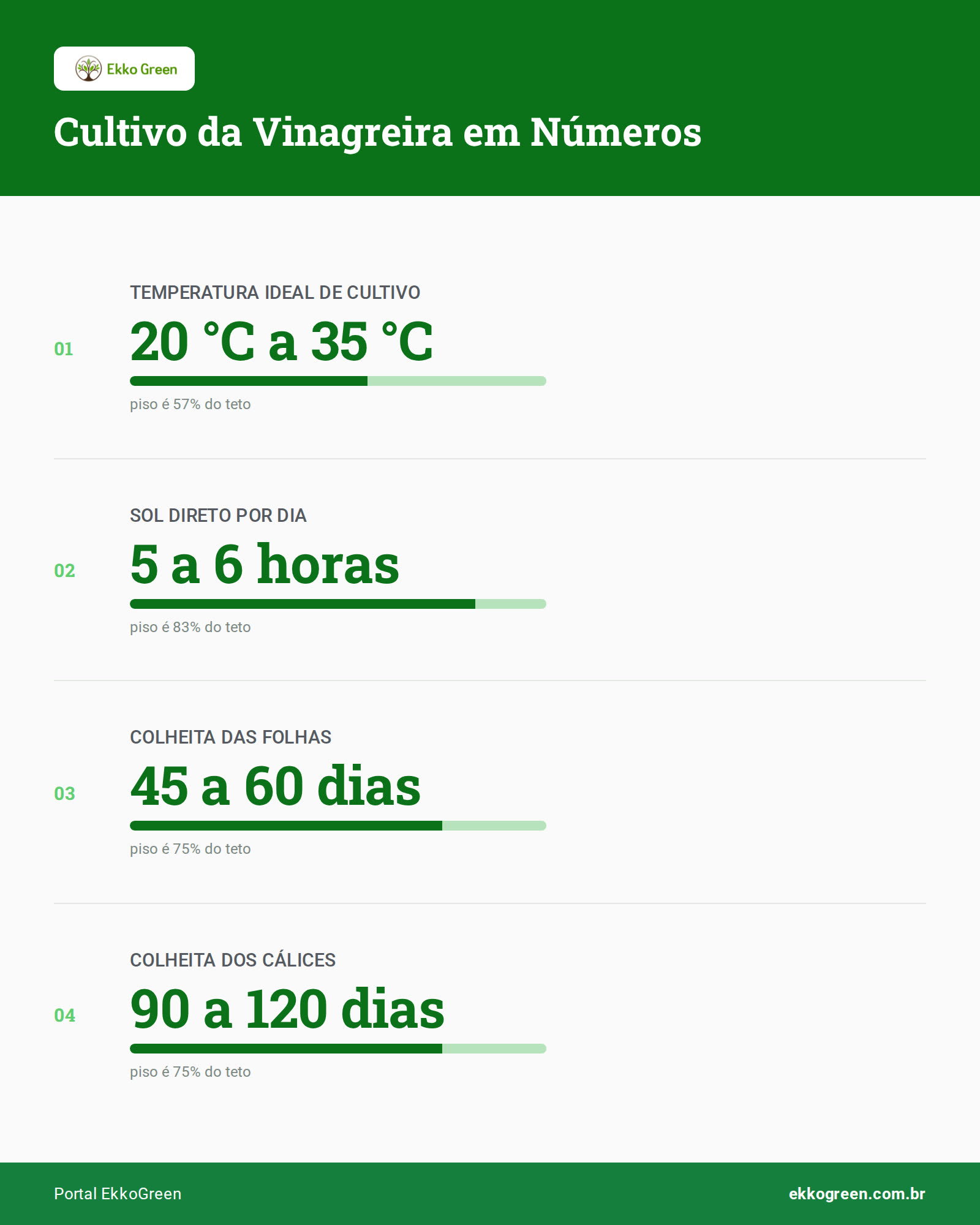 Vinagreira: Como Identificar, Plantar e Consumir 2 Infográfico: Cultivo da Vinagreira em Números
