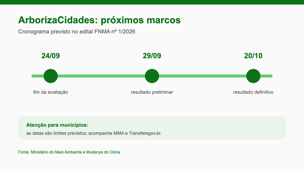 ArborizaCidades entra na fase decisiva: veja os próximos prazos 2 Infográfico: cronograma previsto do ArborizaCidades