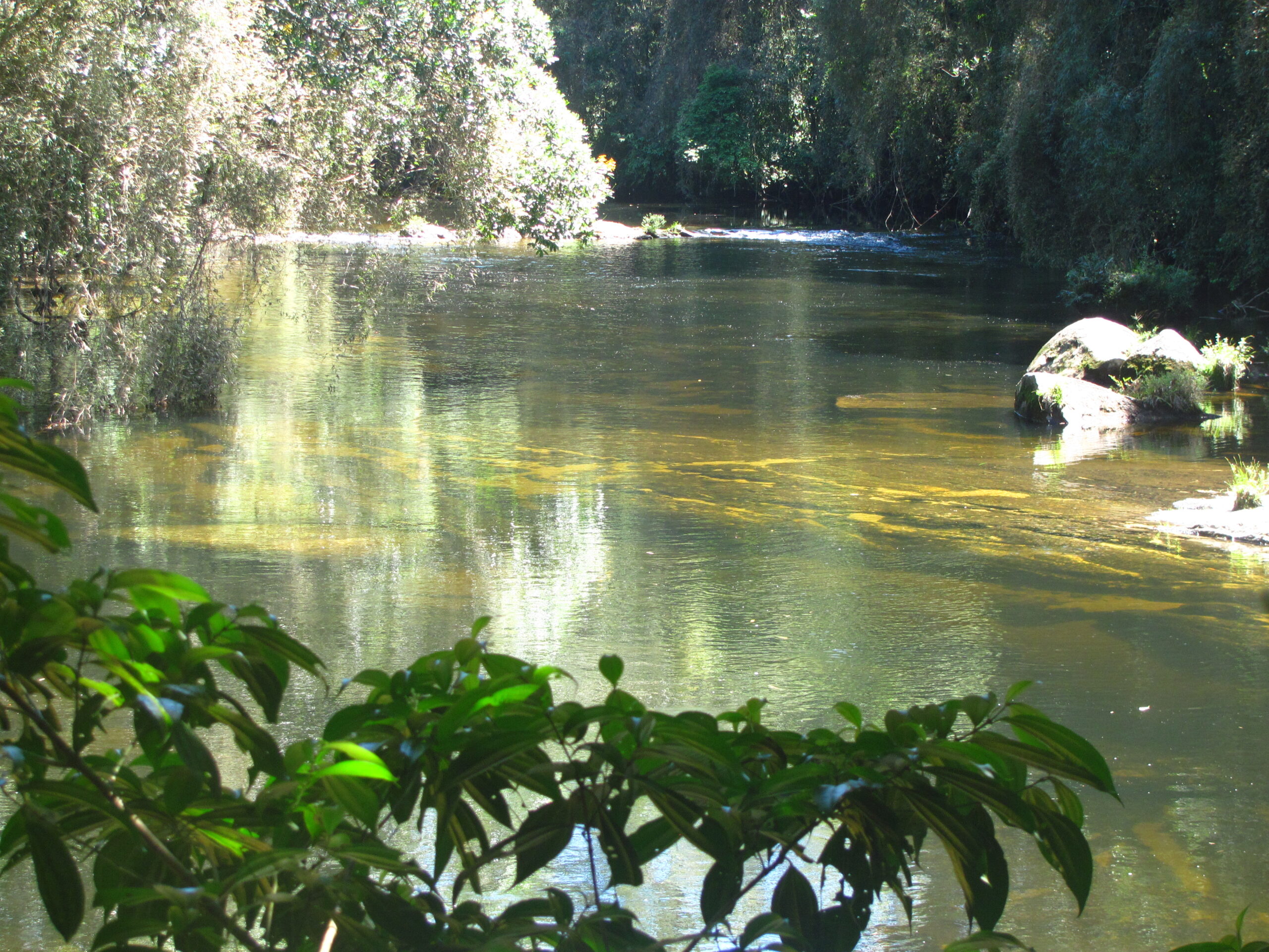 Sustentabilidade no estado de São Paulo: energia, clima e decisões práticas 5 Parque das Neblinas, Parque Estadual da Serra do Mar, SP