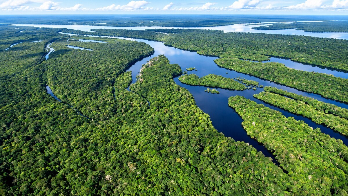 INPE Registra Queda do Desmatamento na Amazônia e no Cerrado 1 Imagem ilustrativa gerada por IA a partir de referência oficial do MMA; não representa local monitorado ou obra do programa.